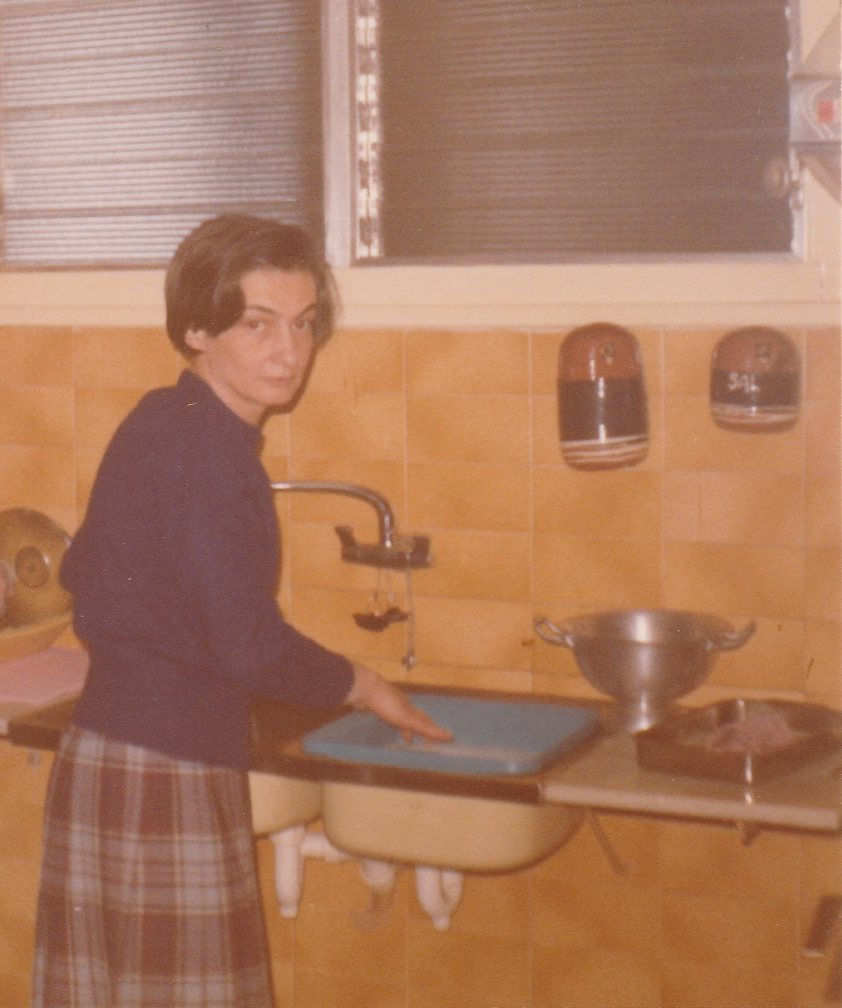 Esquema sobre el trabajo doméstico (1980)